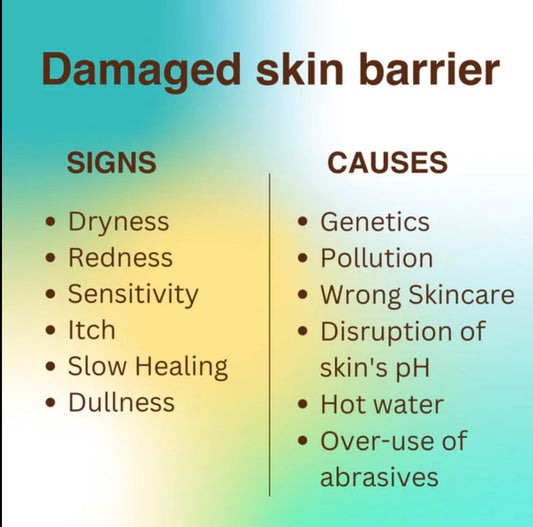 From Flaky to Flawless: Repairing Your Skin Barrier Naturally