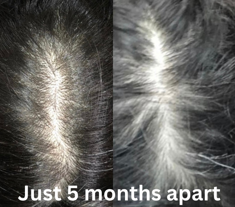 Organic Moroccan Argan oil