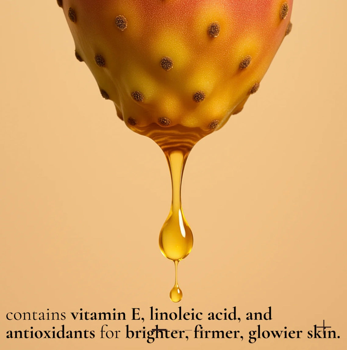 Moroccan Prickly Pear Seed Oil